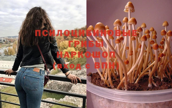 PSILOCYBIN Белоозёрский